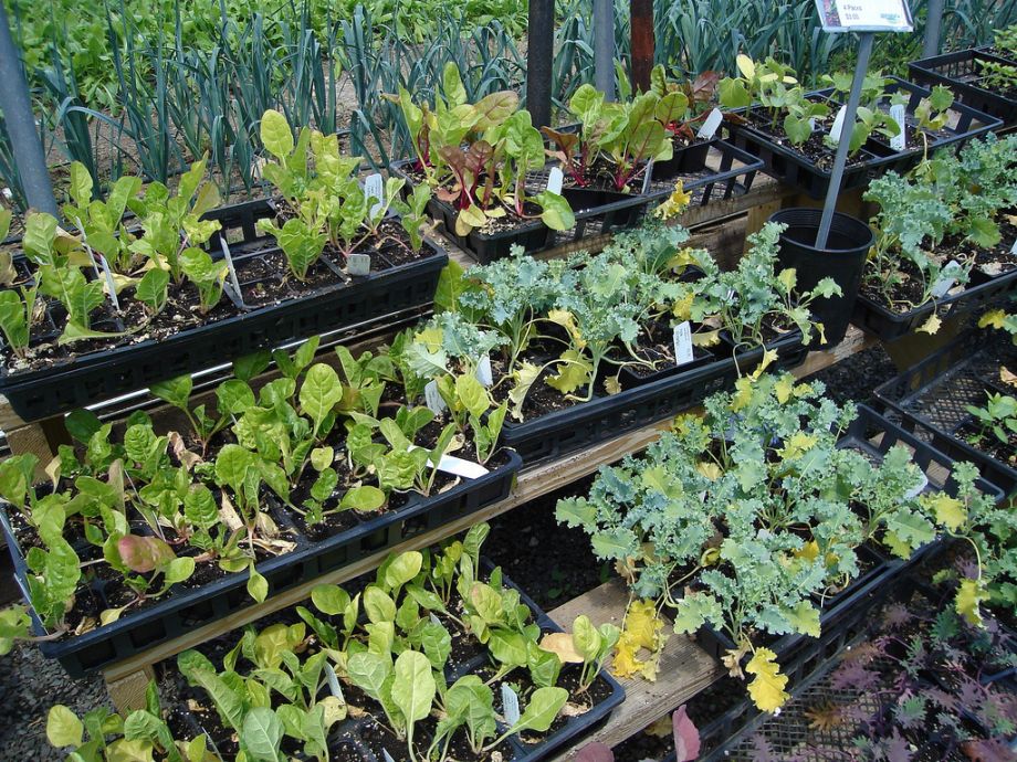 1st Saturday’s  is the monthly volunteer day!
