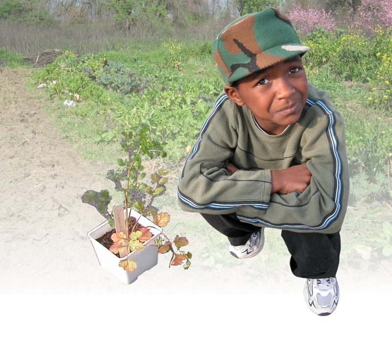 “Every school shall have a garden, a farmers market and a grocery store”